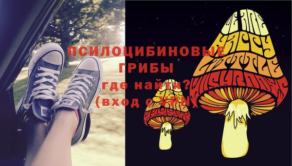 МДПВ Билибино