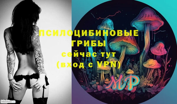 индика Беслан
